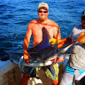 Meet your Posher, Steve